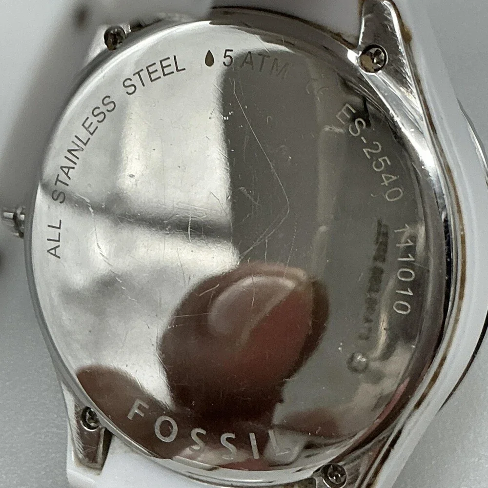 Fossil see photos